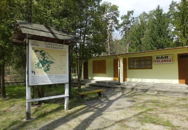 Percorso A piedi Garbatka-Letnisko - Krępiec - Photo