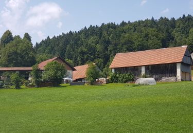 Percorso Marcia Longatico - Rovte Sveti trije Kralje - Photo