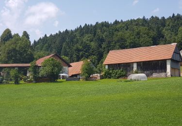 Tour Wandern Loitsch - Rovte Sveti trije Kralje - Photo