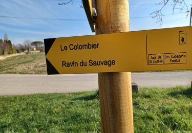 Trail Walking Mane - *** MANE . LES BORIESSSS . CHAPELLE .PONT ROMAN O L S - Photo