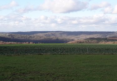 Trail Walking Yvoir - Purnode 171220 - Photo
