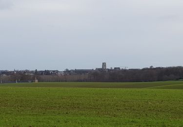 Tocht Stappen Tongeren - Tongres  - Photo