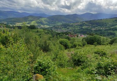Trail Walking Hohrod - Hohrodberg  - Photo