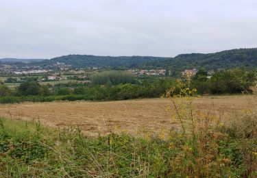 Randonnée Vélo de route Saulny - feves - Photo