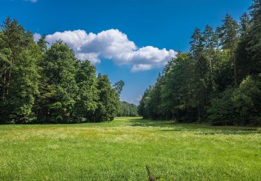 Tour Zu Fuß Lisberg - Hölderlinweg Lisberg L 5 - Photo