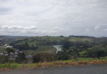 Trail On foot Rodney - Te Araroa - 02 Auckland - d Puhoi Valley to Puhoi - Photo