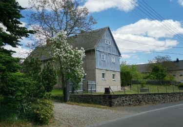 Trail On foot Ottendorf-Okrilla - Grüner Strich 