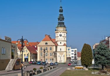 Randonnée A pied Otmuchów - Szlak miejski Otmuchów - Photo