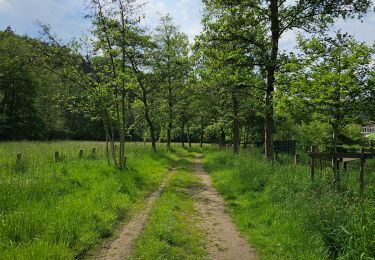 Trail Walking Blegny - GR5 - BLEGNY -> FRAIPONT  - Photo