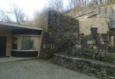 Randonnée Marche Marquay - Boucle château de Commarques - Photo