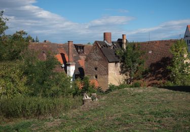 Tour Zu Fuß Buchdorf - Rundwanderweg Monheim 13 - Photo