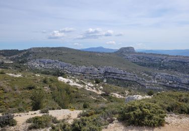 Trail Walking Allauch - le pic du Taoumé par Pichauris - Photo