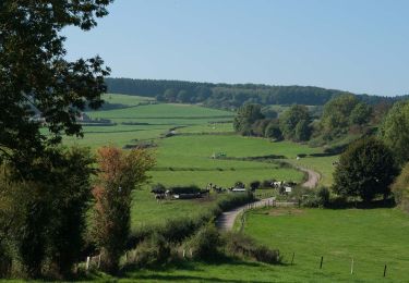 Trail Walking Pepinster - GG-Lg-12_Pepinster - Spa - Photo