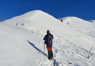 Tour Wandern Poubeau - cap de la Lit en boucle - Photo