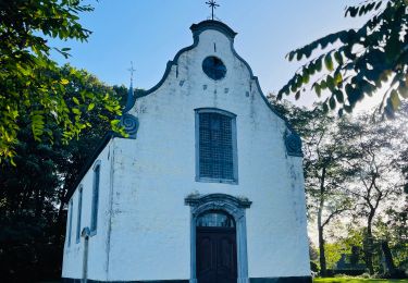 Tocht Stappen Berlare - Le parc religieux derrière la chapelle Bareldonk à Berlare - Photo