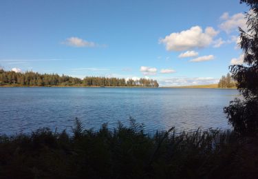 Trail Walking Orcival - lac de serviere  - Photo