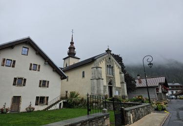 Percorso Marcia Chamonix-Mont-Blanc - J9 - Petit Balcon Sud : Les Praz de Chamonix - Argentière - Photo