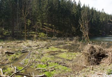 Tocht Te voet Wilhelmsthal - Schanzenbinder-Weg - Photo