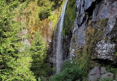 Trail Walking Mont-Dore - cirque du s1ncy - Photo