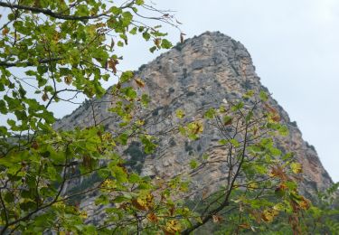 Trail Walking Rémuzat - may - Photo