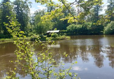 Tocht Stappen Ramonchamp - Ramonchamp les noirs etangs - Photo