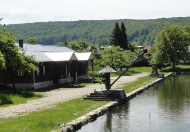 Excursión A pie Kelheim - Rundweg Essing 25 - Photo