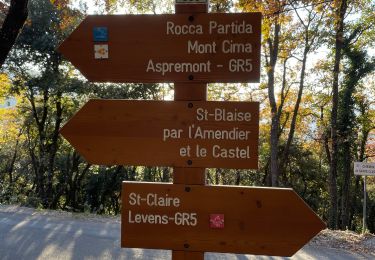 Tour Wandern Levens - St Blaise - Photo