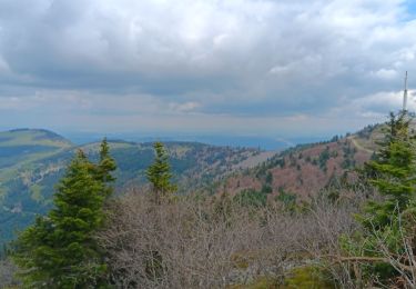 Percorso Marcia Véranne - sentier des crets du Mont Pilat  - Photo