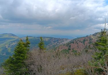 Tocht Stappen Véranne - sentier des crets du Mont Pilat  - Photo