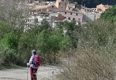 Tocht Stappen Riudecols - Tour à Ruidevols - botarell - Photo