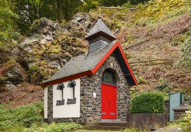 Excursión A pie Monschau - Monschauer Nationalpark-Wanderweg