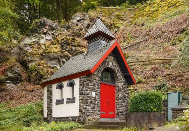 Percorso A piedi Monschau - Monschauer Nationalpark-Wanderweg 