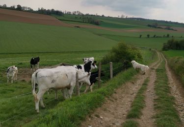 Trail Walking Saint-Jacques-d'Aliermont - St Jacques d'aliermont-ste agathe - Photo