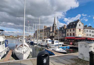 Excursión Senderismo Honfleur - Honfleur (PVDB) - Photo