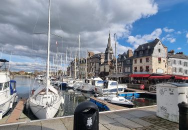 Trail Walking Honfleur - Honfleur (PVDB) - Photo