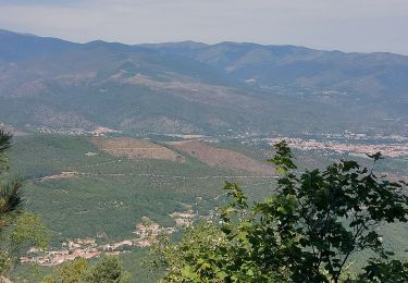 Tour Wandern Estoher - Estoher Chapelle St. Étienne  - Photo