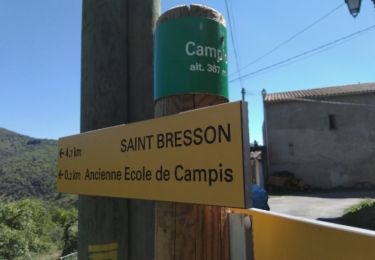 Trail Walking Roquedur - roquedur - Photo