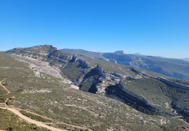 Trail Walking Allauch - les trois têtes - Photo