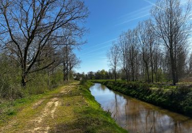 Trail Walking Scherpenheuvel-Zichem - La vallée du Démer : le long du ruisseau La Hulpe à Zichem - Photo