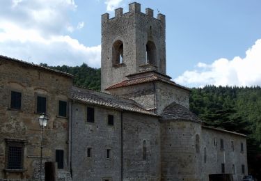 Percorso A piedi Gaiole in Chianti - IT-33 - Photo