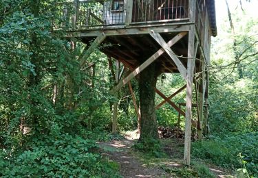 Trail Trail Gennes-Val-de-Loire - Le Thoureil - Photo