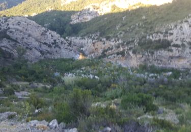 Tour Esel-Trekking Tuchan - cathare 3 Tuchan Duilhac sous peyrepertuse  - Photo