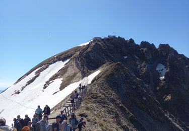 Trail Walking Mont-Dore - Les Crêtes Ouest du Puy de Sancy 10.5.24 - Photo