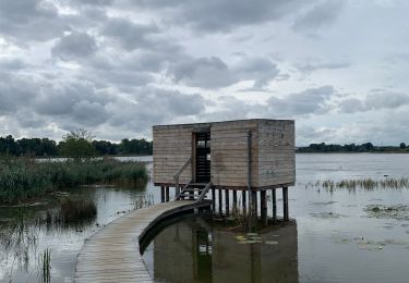 Randonnée Marche Léau - Le domaine 