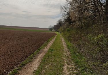 Percorso Marcia Boran-sur-Oise - randonnée des 3comunnes boran  morangle crouy en thelle - Photo