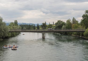 Tour Zu Fuß Auw - Sins - Auw - Photo