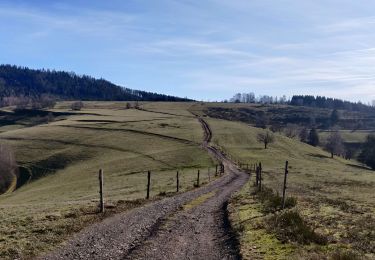 Tour Wandern Bliensbach - 2020-02-15 Marche Blancherupt Perheux - Photo