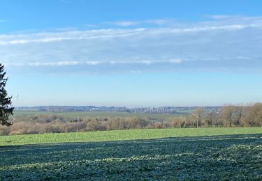 Tour Wandern Gerpinnes - Beau soleil d’hiver - Photo