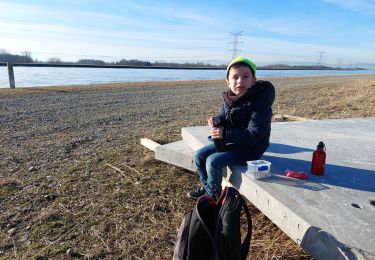 Trail Walking Vogelgrun - ile rhin - Photo