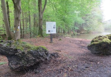 Percorso A piedi Michelstadt - Rundwanderweg Michelstadt Einhard Quelle 2: Kühberg-Weg - Photo